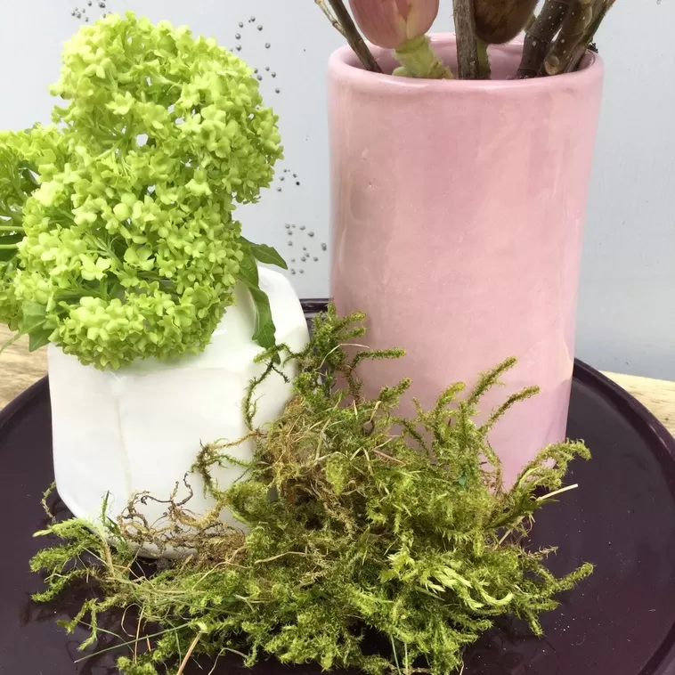 9561 Розовая глазурь Botz